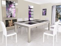 Swisspool Abdeckplatte Excellence 2 Teilig mit Glaseinsatz Transparent gleiche Grösse wie Billardtisch 224x112 Spielfeld 11