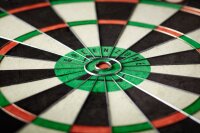 Dartboard Winmau Green Zone 3019