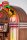 Sound Leasure Gazelle Musikbox 2022 CD light oak blonde Herstellergarantie 1 Jahr ohne Geldeinwurf