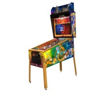 Jersey Jack Pinball Harry Potter Pinball - Collectors...